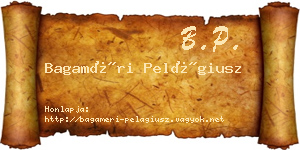 Bagaméri Pelágiusz névjegykártya